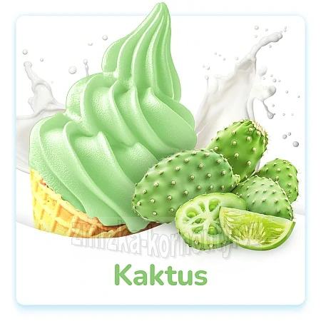 Kaktus Tatra Zmrzka