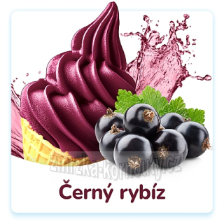Černý rybíz Tatra Zmrzka vodová