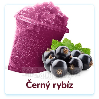 Černý rybíz ledová tříšť Tatra